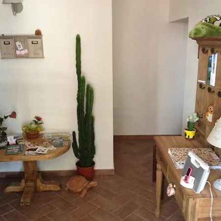 Le Tartarughe Rooms-3